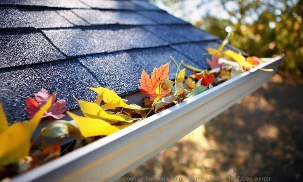 Seizoensgebonden rioolproblemen Assen: herfst en winter